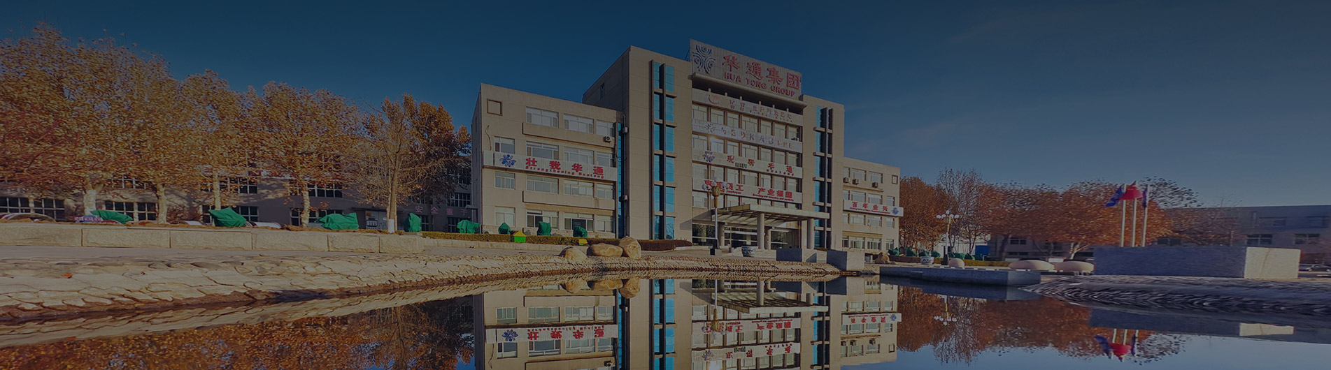 Company Profile